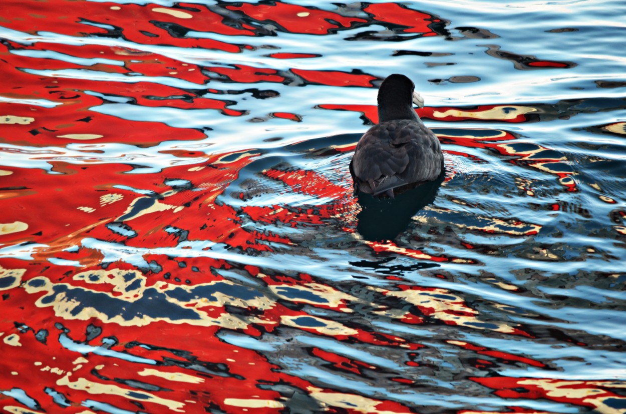"mar rojo" de Jorge Luis Luque