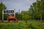 El caballo de Oliden