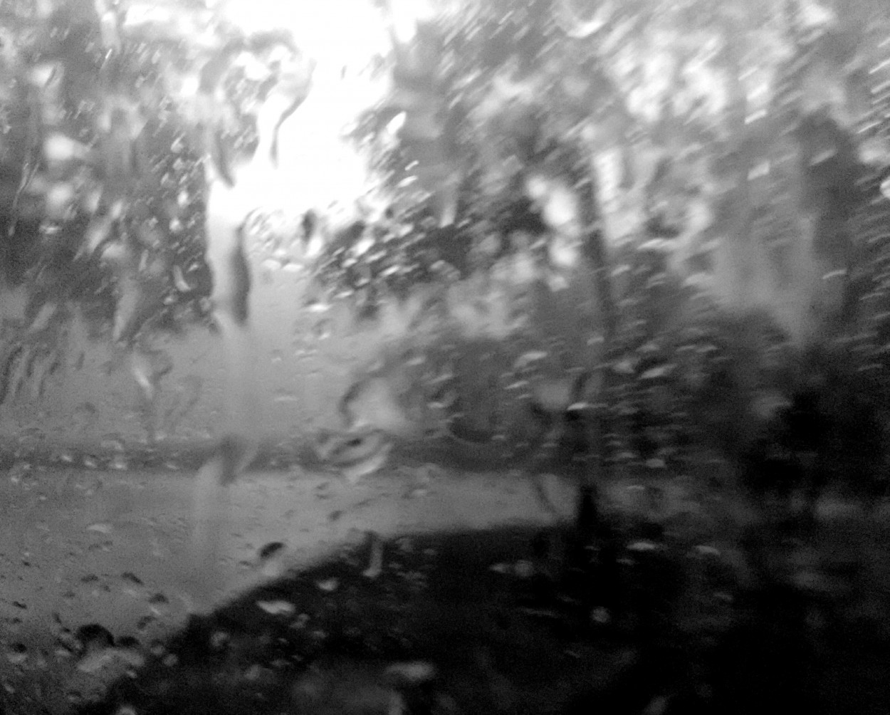 "El acoso de la lluvia" de Fernanda Ferrari (fer)