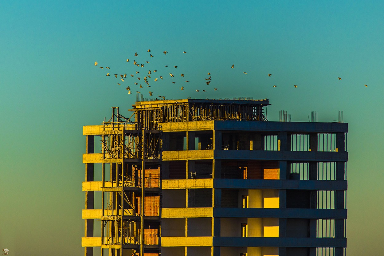 "Hopper under construction" de Alfredo Fushimi