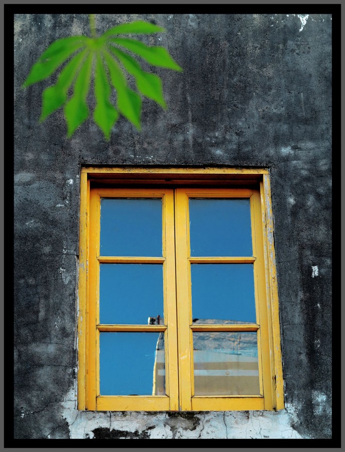 "The yellow window" de Jorge Vicente Molinari