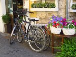 Bicicleta y flores
