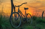 Mi vieja bicicleta, mi cmara y yo...