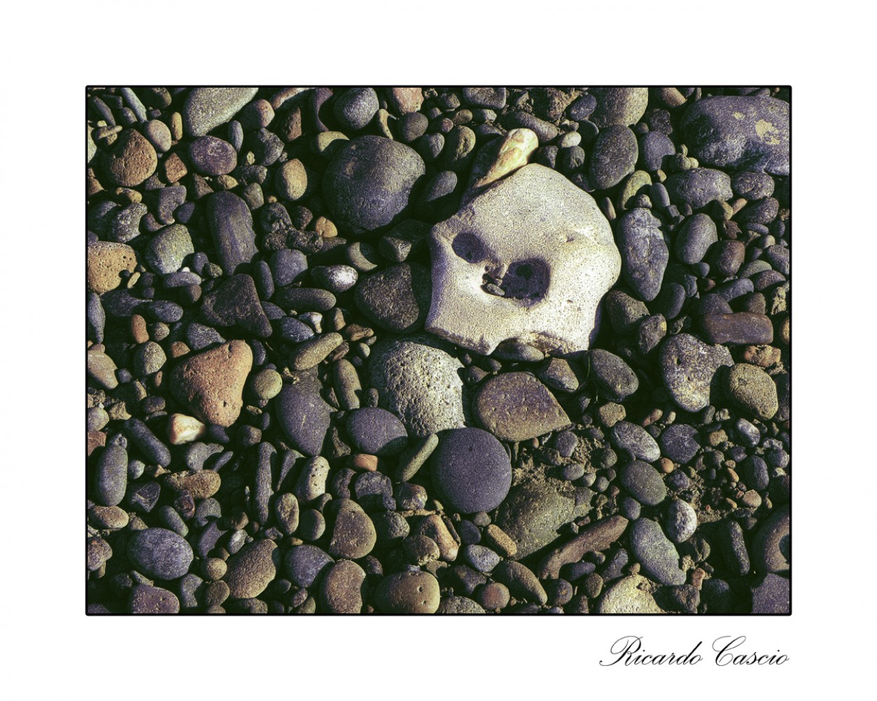 "Las piedras y la muerte" de Ricardo Cascio