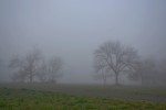 Neblinas suburbanas