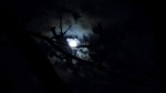 Noche de luna llena y tormenta
