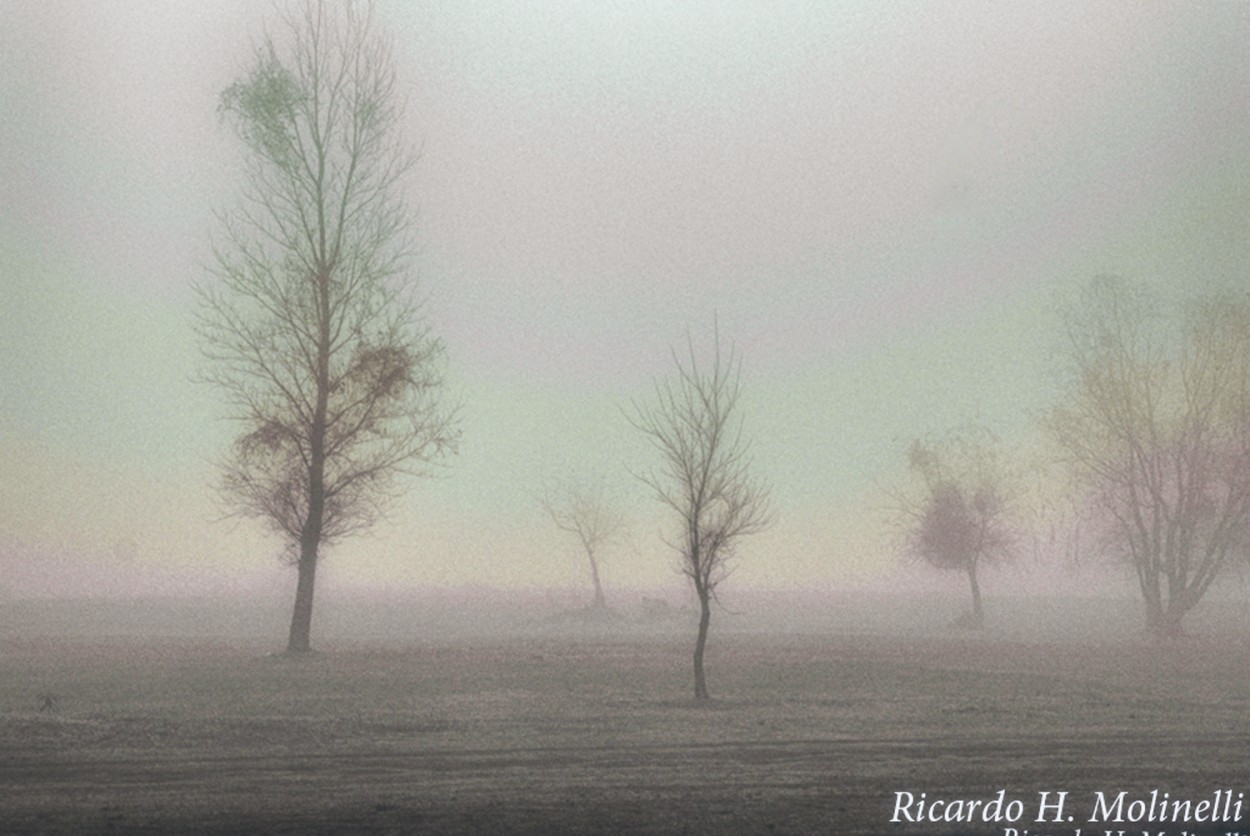 "Bajo un manto de niebla" de Ricardo H. Molinelli