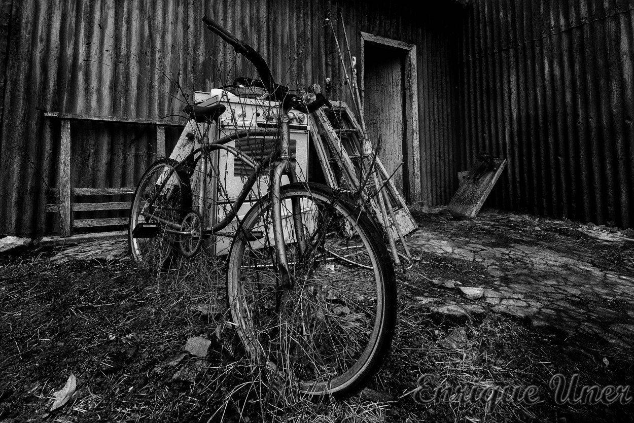 "Mi vieja bicicleta" de Enrique Jose Uner