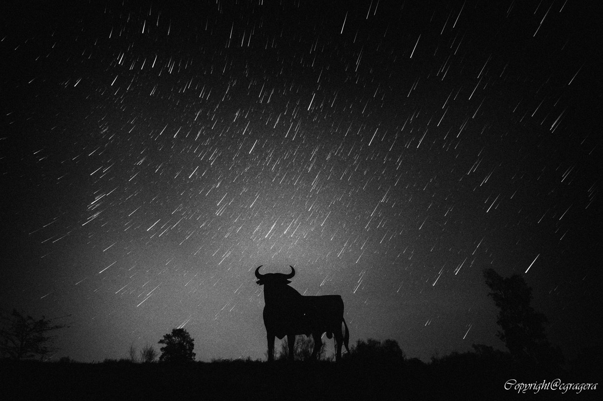 "lluvia de toro" de Carlos Gustavo Gragera Garriga