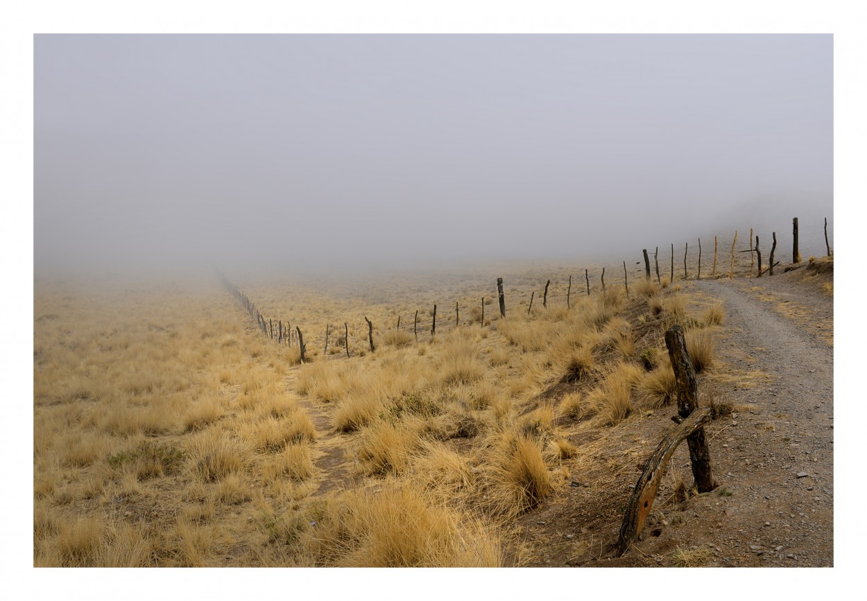 "Niebla" de Rafa Lanuza
