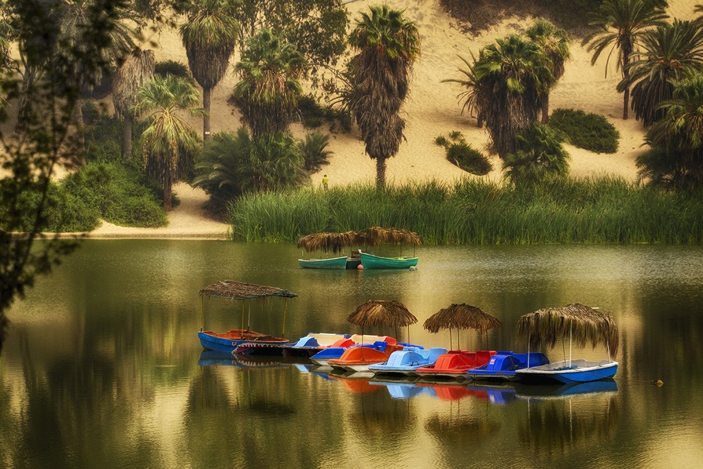 "los botes en el oasis" de Mercedes Orden