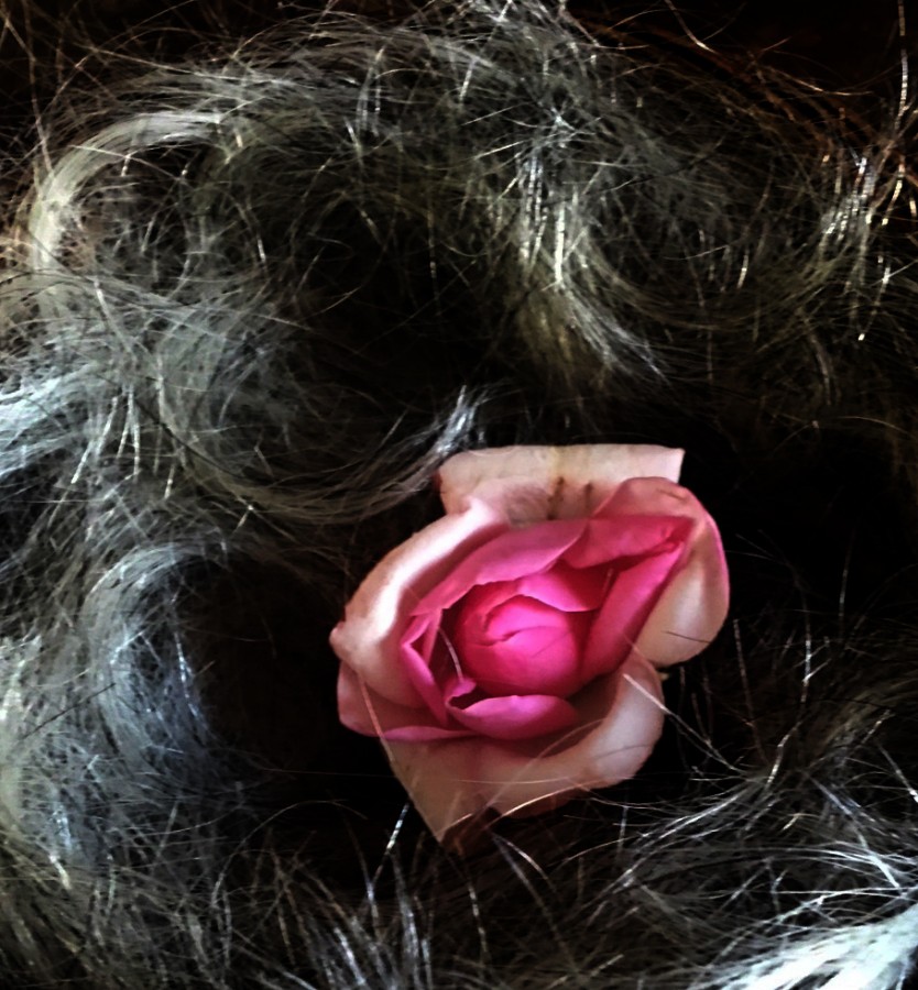 "anidando rosa rococo rosada" de Beatriz Di Marzio