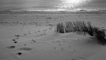 Playa de Invierno
