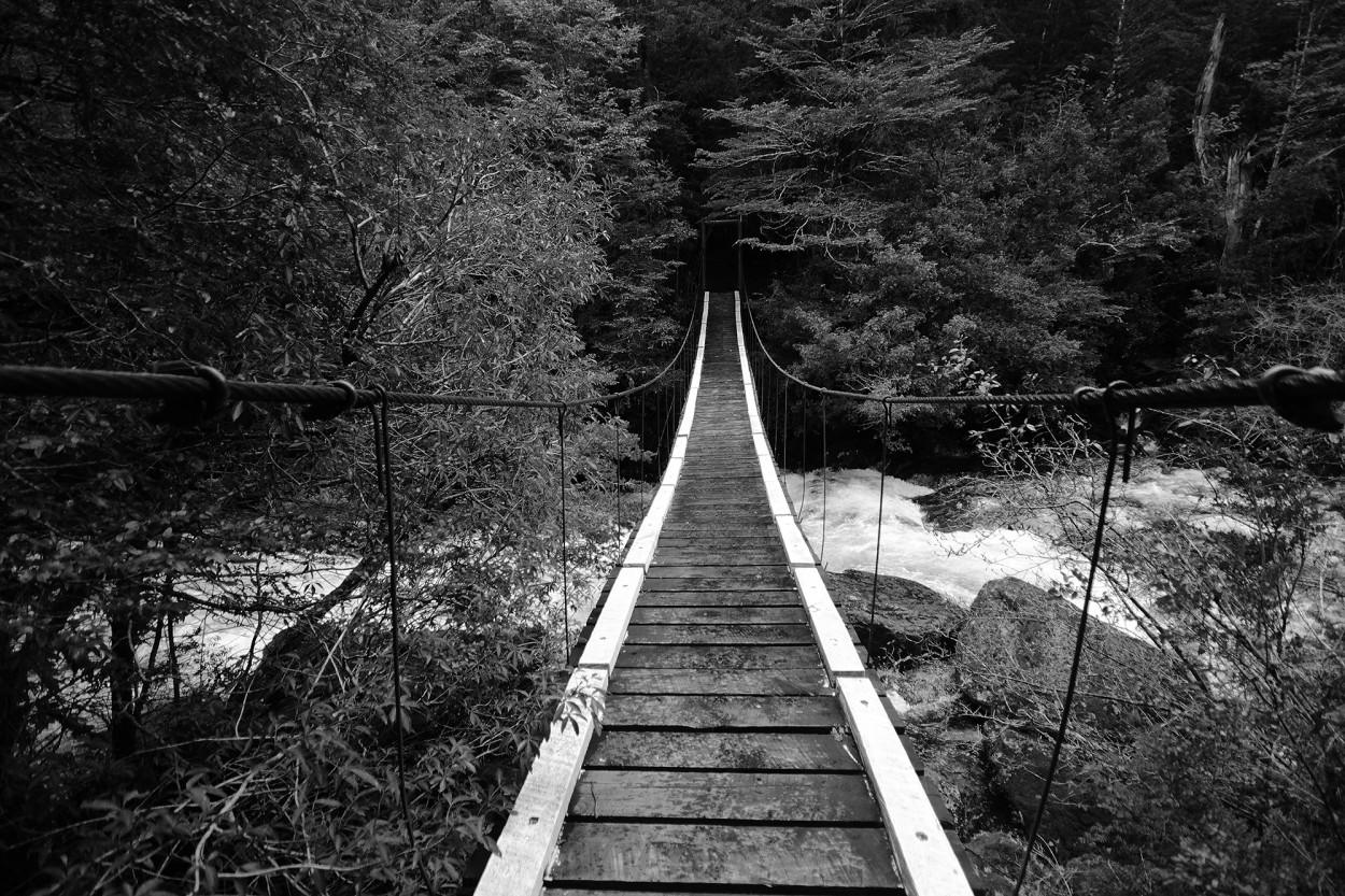 "Puente camino a Lago Frias" de Sebastian Maldonado
