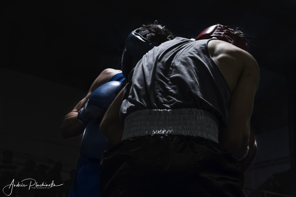 "Boxing" de Andrs Pluchinotta