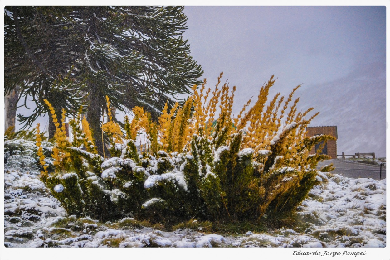 "Nevando" de Eduardo Jorge Pompei