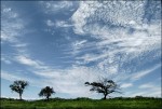 Un cielo de maravillas