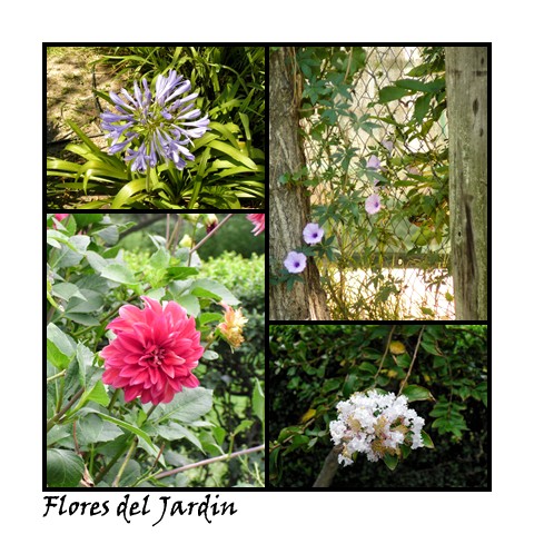 "Flores del jardin" de Nora Lilian Iturbide ( Noral )