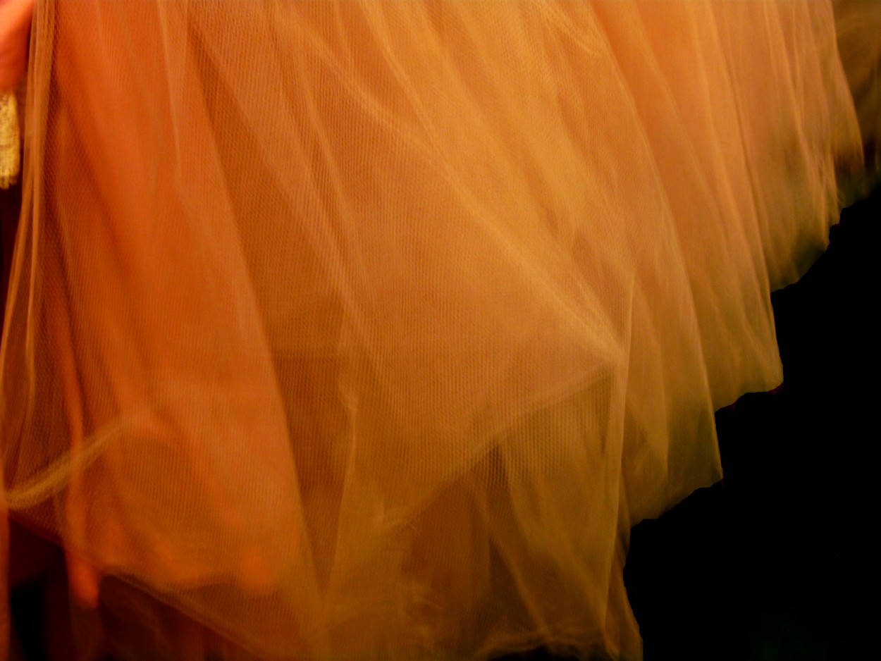 "Vestuario de bailarinas" de Ana Tessler