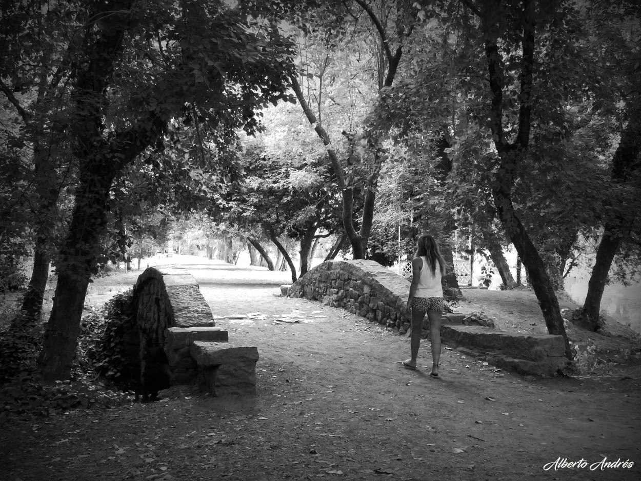 "Por el Parque ..." de Alberto Andrs Melo
