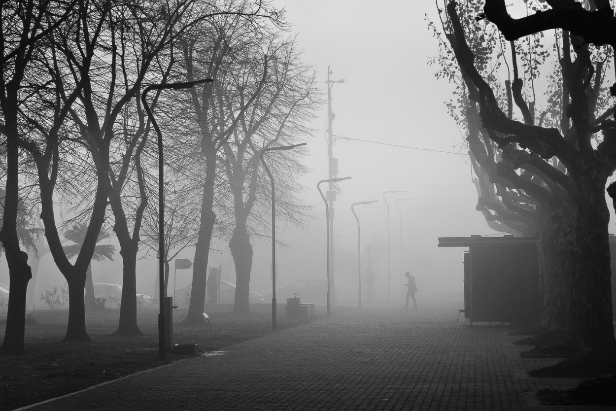 "Niebla en la ciudad" de Fernando Valdez Vazquez