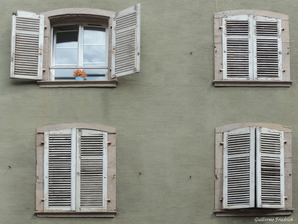 "Cuatro ventanas" de Guillermo Friedrich