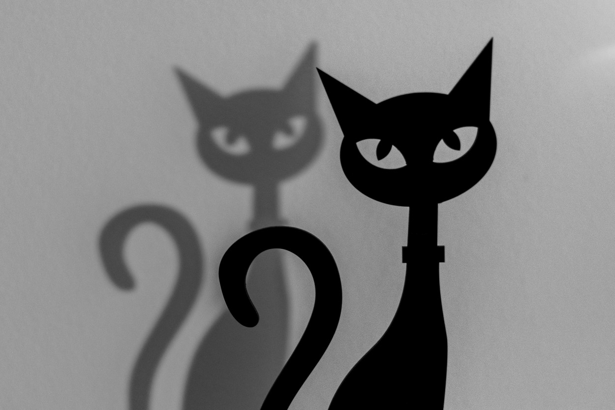"Dos gatos dos" de Ale Bustos