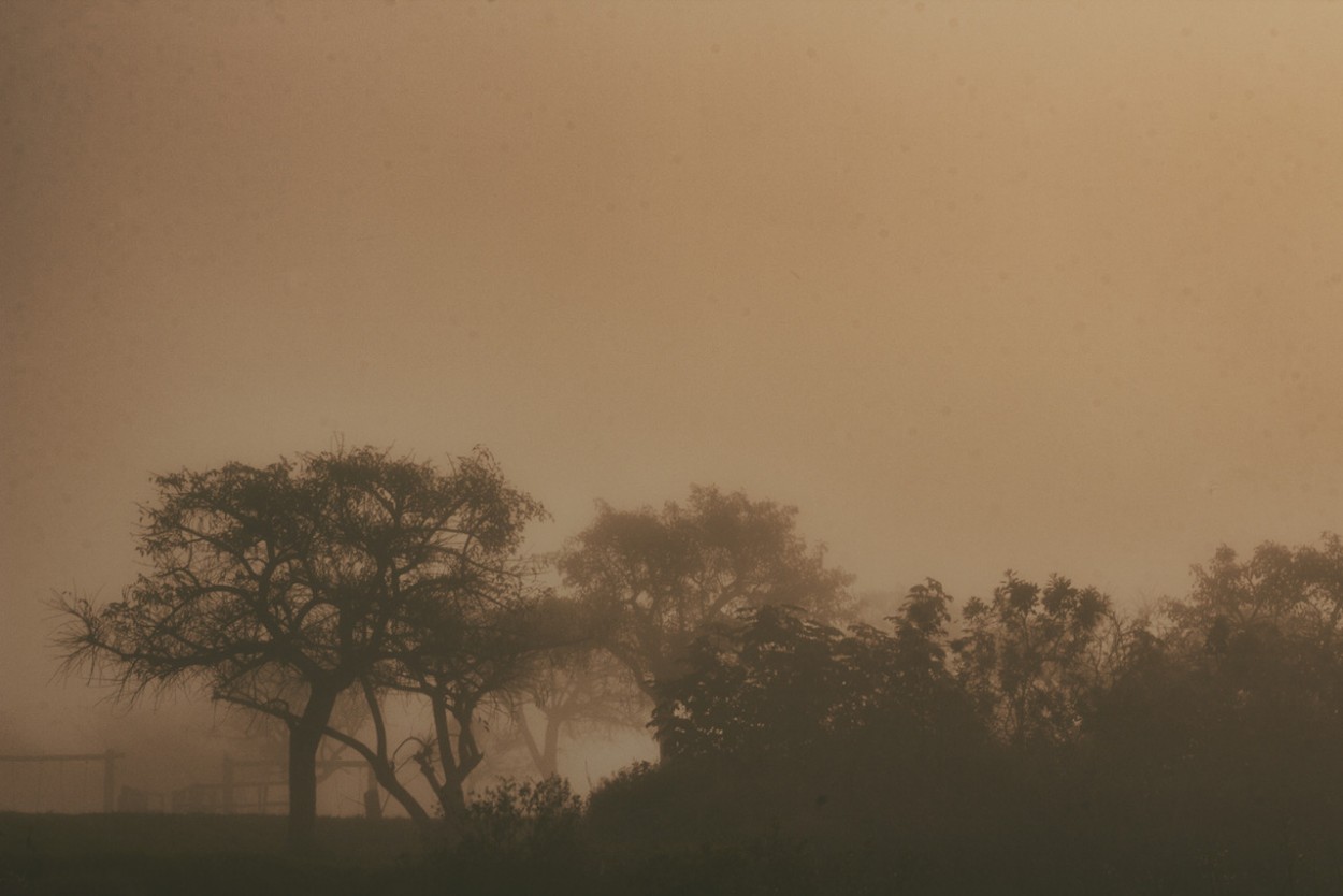 "Niebla" de Matias Rondinella