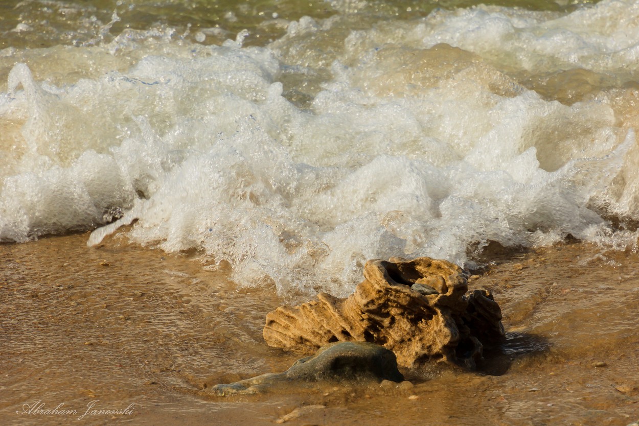 "La Piedra y el Mar" de Abraham Janovski