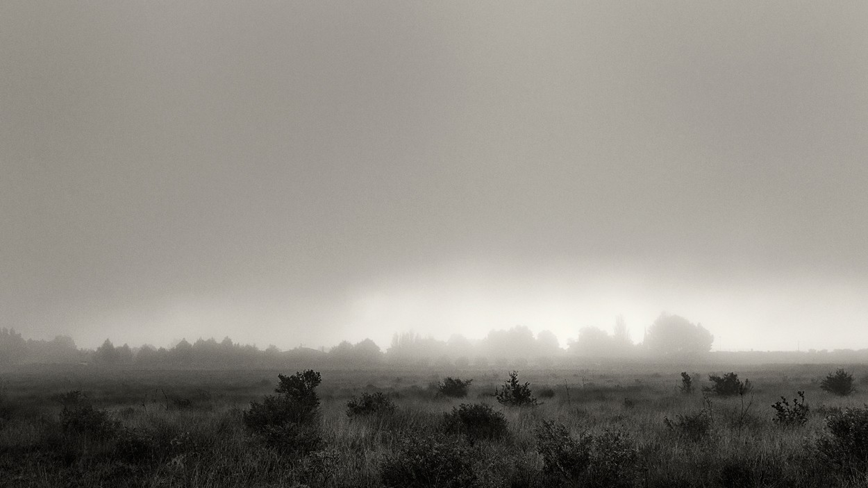 "luz en la niebla" de Francisco Jos Cerd Ortiz