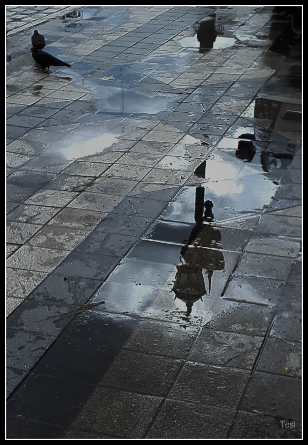 "Despus de la lluvia" de Tesi Salado