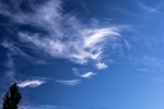 El lamo, el cielo y la nube