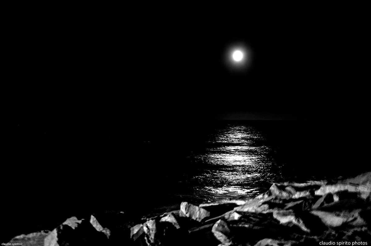 "Bark at the moon" de Claudio Spirito