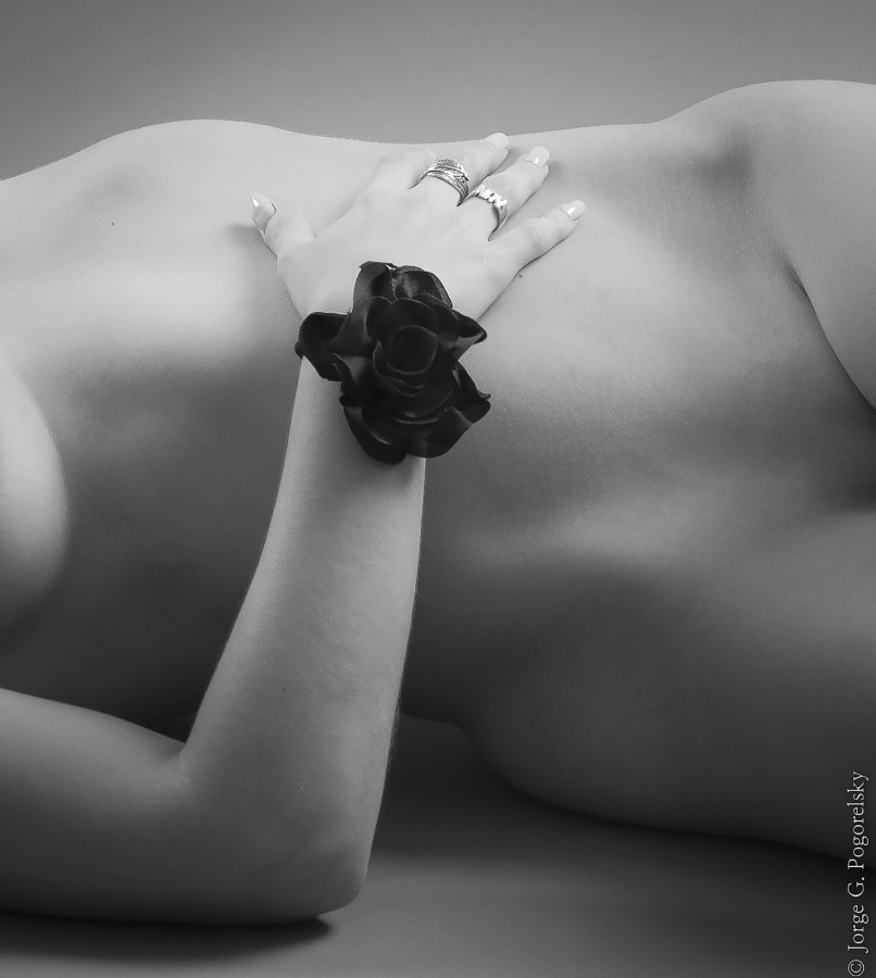"Extraa rosa negra" de Jorge Pogorelsky