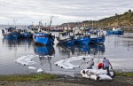 Pescadores de algas del Estrecho de Magallanes