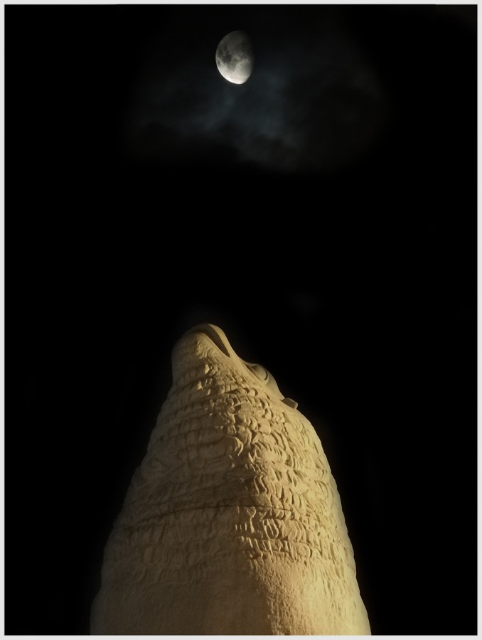 "Siguiendo la luna..." de Miguel Angel Errasti