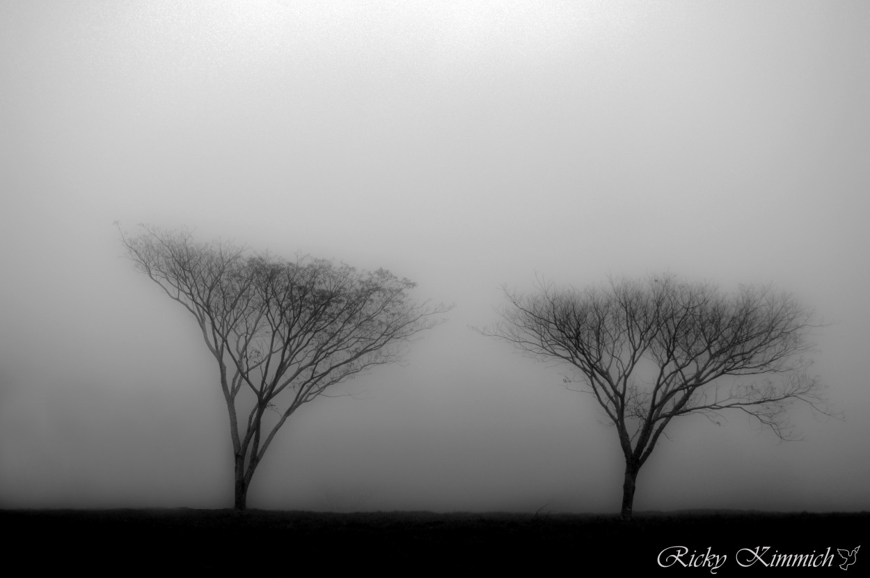 "Dos Hermanos en la Niebla" de Ricky Kimmich
