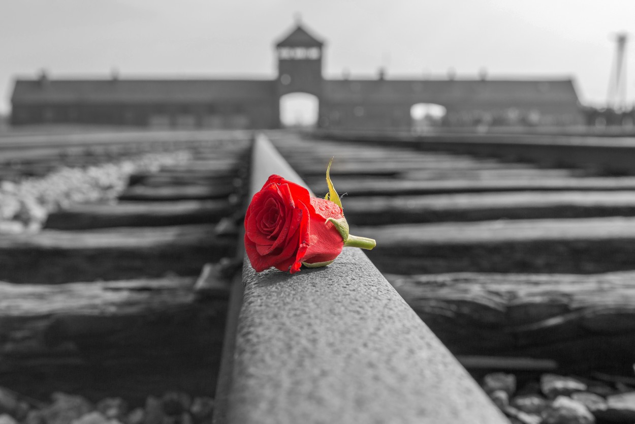 "Auschwitz- Birkenau, NUNCA MAS" de Alejandro Pianko