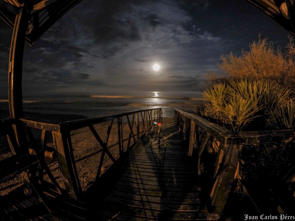 "Fotografiando la luna." de Perez Juan