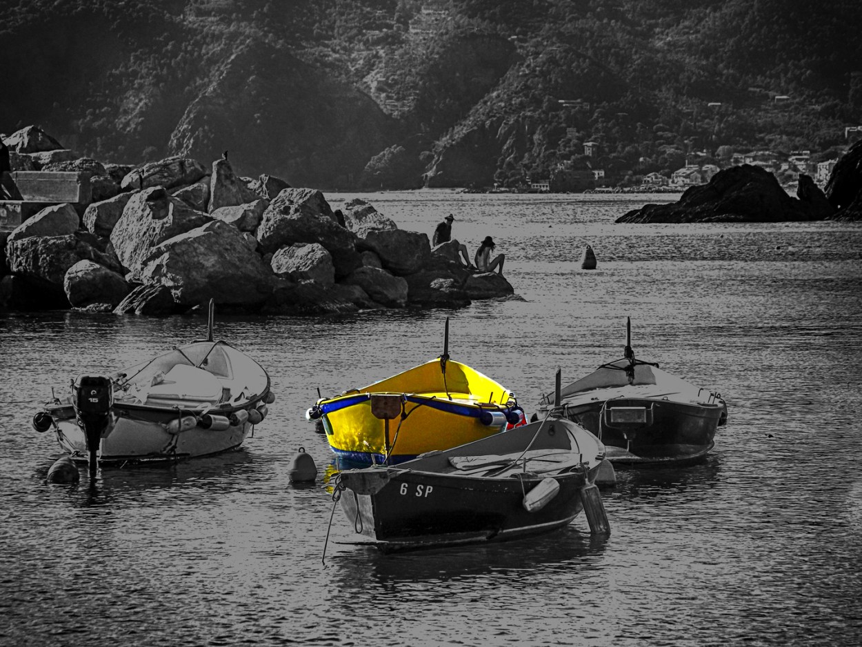 "En Bote amarillo" de Ricardo S. Spinetto