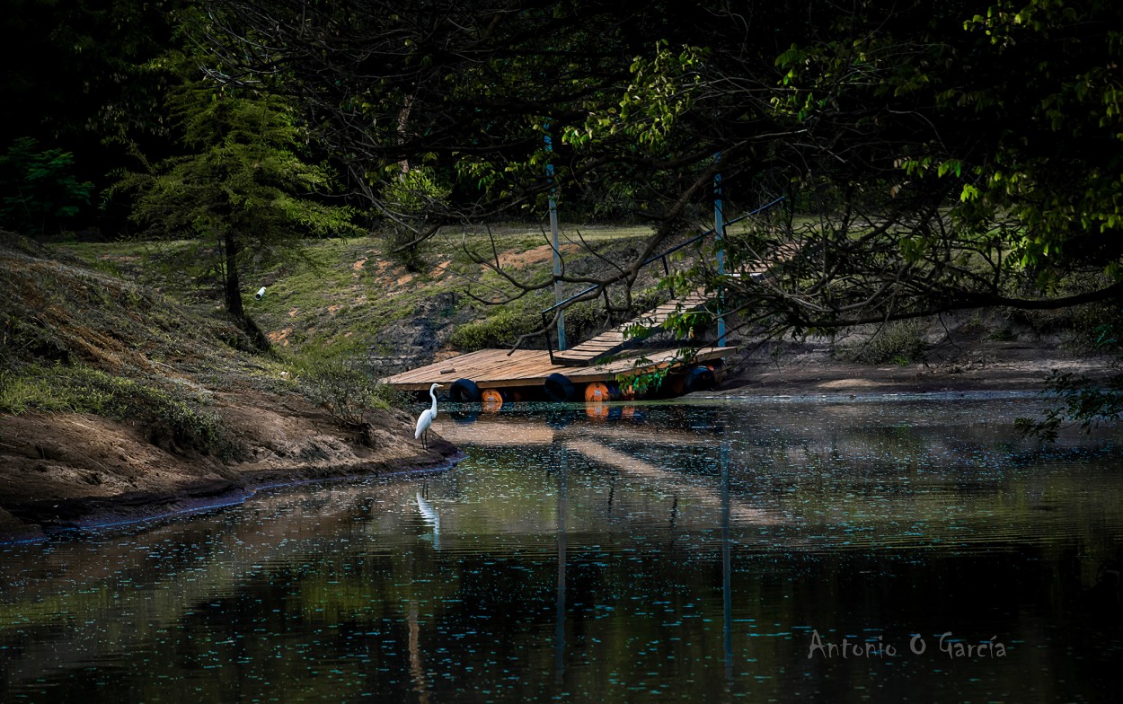 "El estanque" de Antonio Osvaldo Garcia