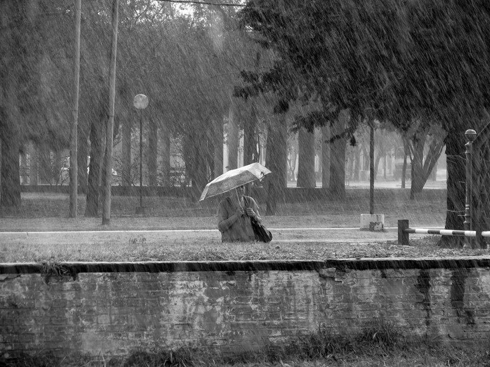 "...como en mi alma, llueve !" de Diego Dadone