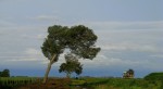 La fuerza del viento