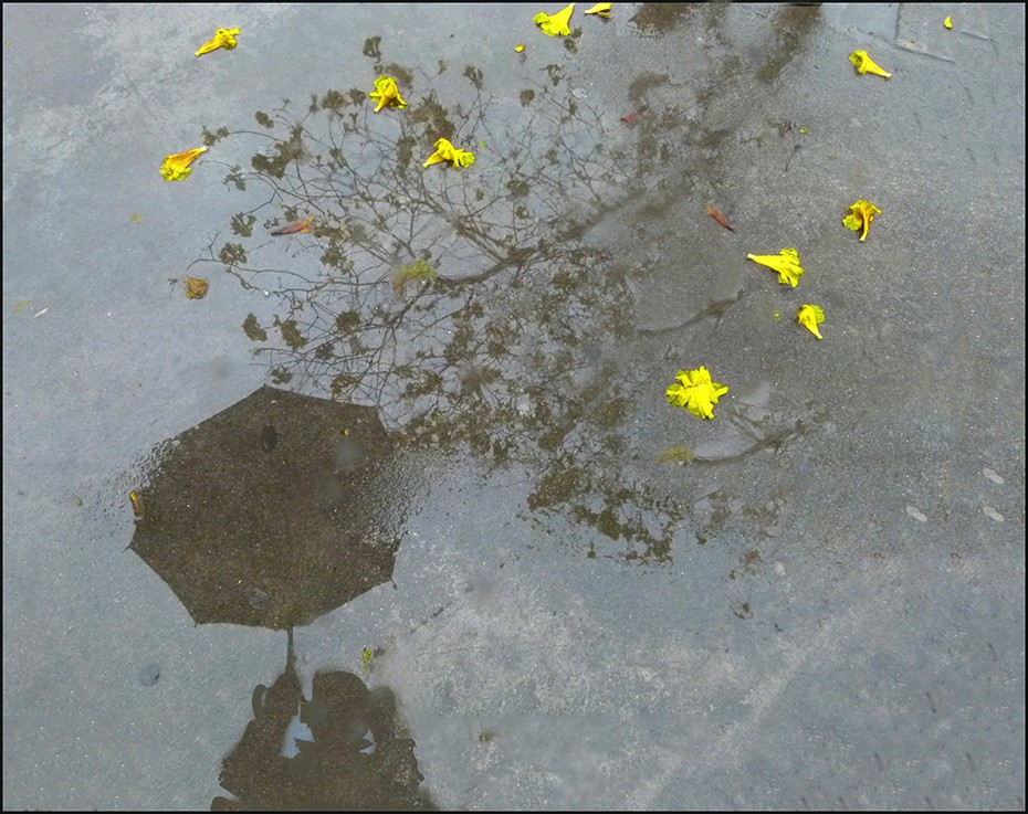 "Selfie un lluvioso dia" de Ruben Perea