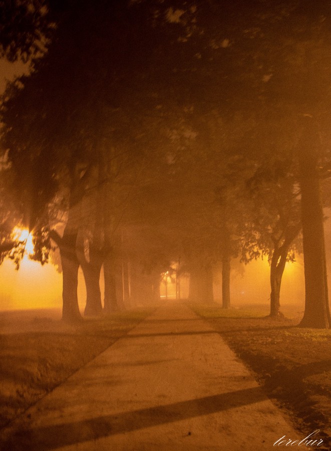 "Boulevard con niebla" de Teresa Burcaizea