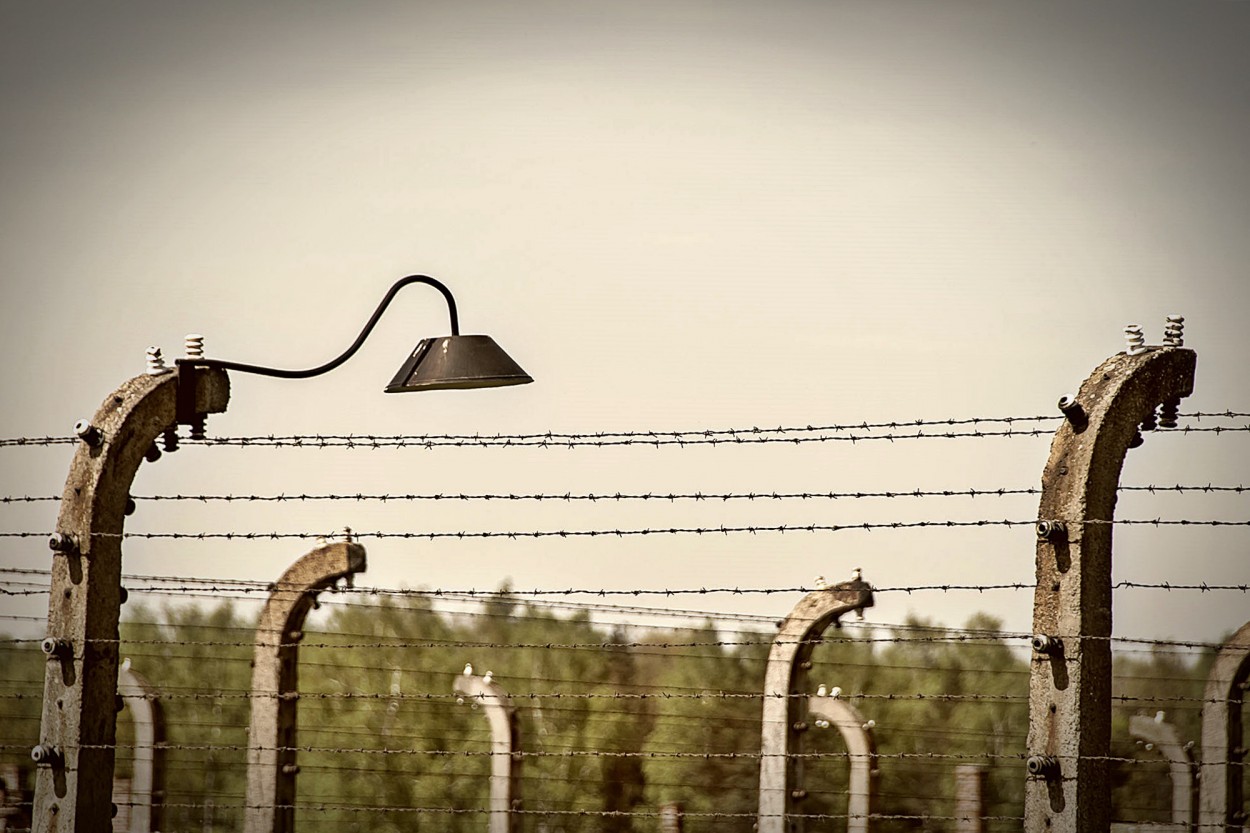 "Alambrado en Auschwitz  Birkenau" de Luis Fernando Somma (fernando)