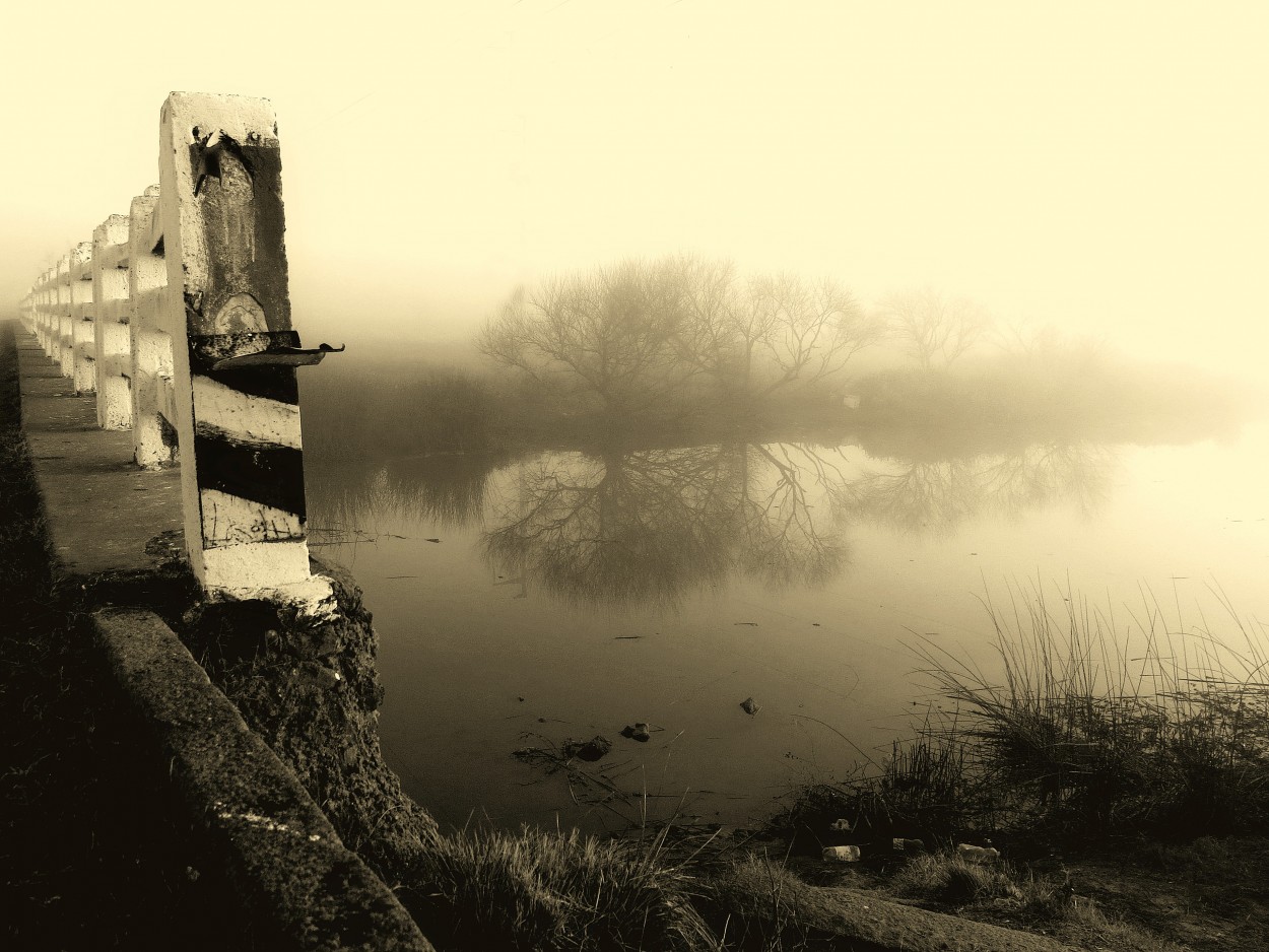 "del amanecer en un arroyo pampeano" de Viviana Garca