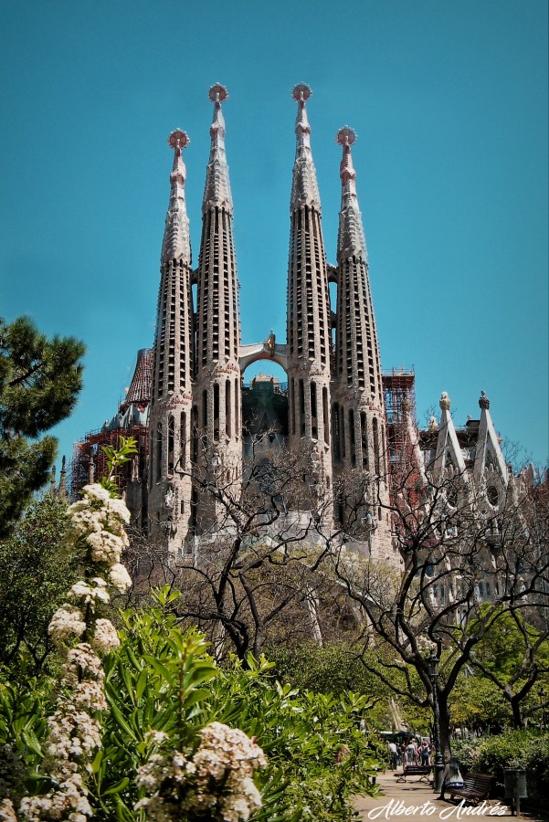 "La Sagrada Familia" de Alberto Andrs Melo