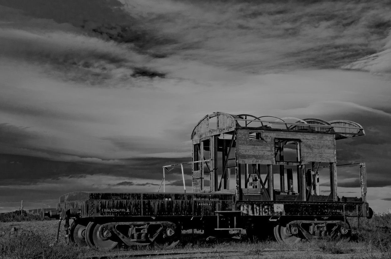 "Abandonado en el desierto patagnico- Challaco" de Daniel Gustavo Bravo