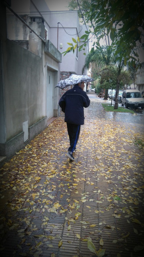 "un paraguas sobre el otoo" de Vernica Dana